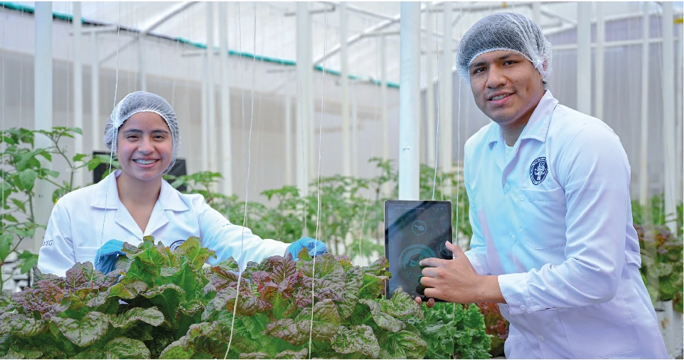 Asesoría académica